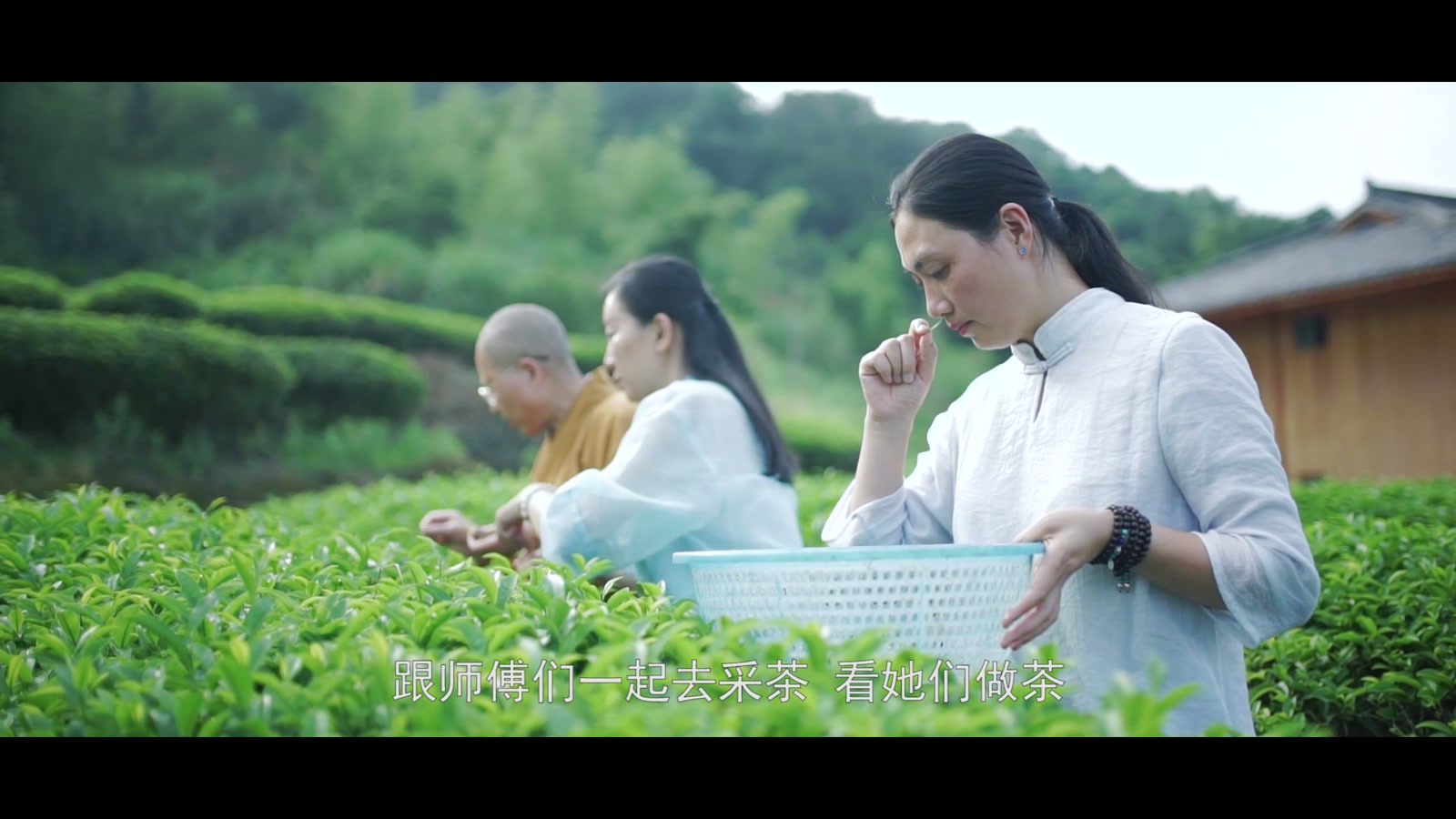 古寺寻茶作品封面